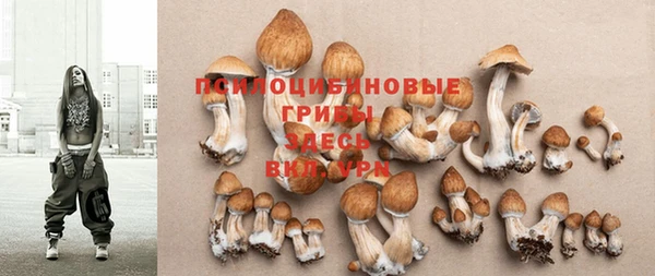 альфа пвп Каменка