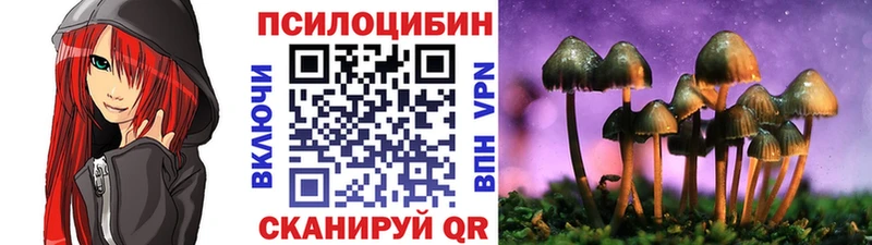 blacksprut маркетплейс  Краснослободск  Псилоцибиновые грибы Psilocybe 